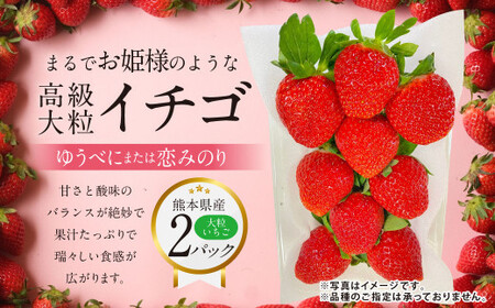 『まるでお姫様のような高級大粒いちご』 大粒いちご 250g×2パック 約500g 1箱 (ゆうべにまたは恋みのり) 熊本県産 [2025年1月下旬発送開始] フルーツ くだもの 果物 イチゴ 苺 いちご ゆうべに 恋みのり おやつ 国産