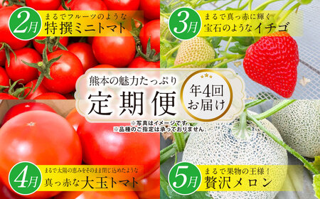 [年4回定期便]熊本の魅力たっぷりな定期便 熊本県産 ミニトマト 約3kg イチゴ 250g×4パック 約1kg 大玉トマト 約4kg メロン 2玉[2025年2月上旬発送開始]4種 フルーツ くだもの 果物 やさい 野菜