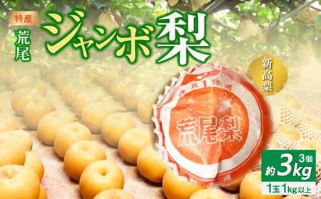 特産荒尾ジャンボ梨3個 約3kg 【2025年10月上旬発送開始】 果物 フルーツ なし 梨 くだもの