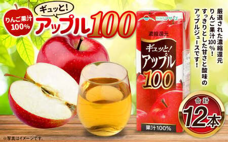 アップル100 200ml×12本 合計2400ml 厳選 りんご 果汁 100% 濃縮還元 林檎 ジュース リンゴジュース 常温 飲料 熊本県 らくのうマザーズ