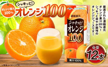 オレンジ100 200ml×12本 合計2400ml 厳選 みかん 果汁 100% 濃縮還元 ミカン オレンジ ジュース みかんジュース 常温 飲料 熊本県 らくのうマザーズ