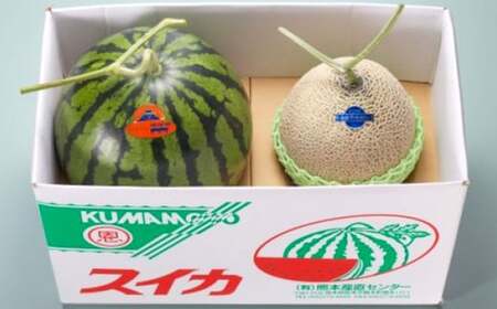 熊本県産 大玉スイカ1玉とマスクメロン1玉 合計2玉 [2025年5月上旬発送開始] 果物 フルーツ 大玉 スイカ 青肉 メロン