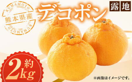 熊本県産 デコポン (露地) 約2kg 約7〜8玉 果物 くだもの みかん 蜜柑 柑橘 フルーツ 熊本県産 [2026年3月上旬発送開始]