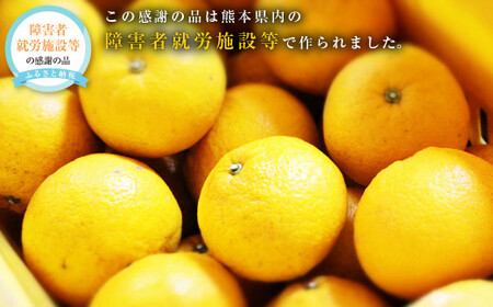 甘夏みかん 約10kg(1個あたり約300-350g、約25個〜30個入り) 甘夏 柑橘 みかん 蜜柑[2026年2月上旬発送開始]