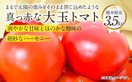 『まるで太陽の恵みをそのまま閉じ込めたような真っ赤な大玉トマト』約3.5kg 1箱 (熊本県産) [2026年1月下旬発送開始] 野菜 やさい トマト とまと 大玉トマト