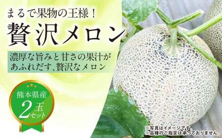 『まるで果物の王様!贅沢メロン』 2玉セット 1箱 熊本県産 [2026年4月下旬発送開始]フルーツ くだもの 果物 メロン 果実 果肉 おやつ 国産