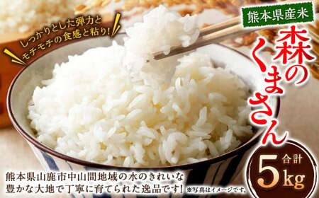 熊本県産 米 森のくまさん 5kg [2025年11月下旬発送開始] お米 こめ コメ 白米 ご飯 ごはん 飯 熊本県