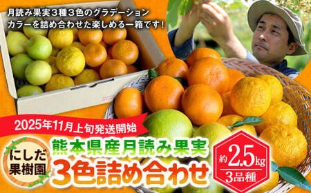 にしだ果樹園の熊本県産月読み果実3色詰め合わせ(3品種)[2025年11月上旬発送開始]みかん 柚子 ゆず レモン フルーツ 果物 熊本