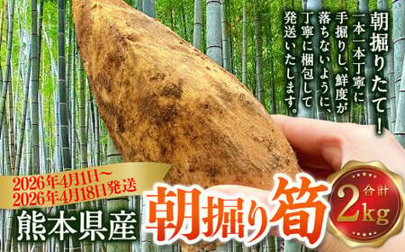 熊本県産 朝掘り 筍 約2kg [2026年4月上旬発送開始] たけのこ タケノコ 野菜