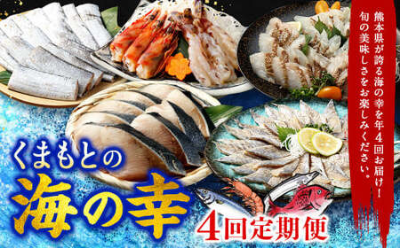 [年4回定期便]くまもとの海の幸 定期便 / 4回 ぶり 鯛 太刀魚 くるまえび 魚 海老 海の幸 海産物 海鮮 切身 スライス 料理 グルメ 旬 熊本県 冷凍