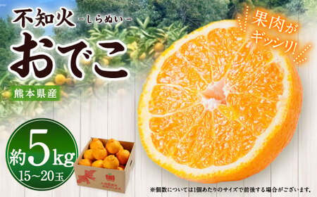 熊本県産 不知火おでこ 約5kg 蜜柑 みかん 柑橘 フルーツ 果物 くだもの [2026年2月上旬発送開始]