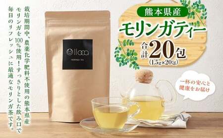 熊本県産 モリンガティー 20包 / モリンガ茶 モリンガ ティー お茶 茶 健康茶