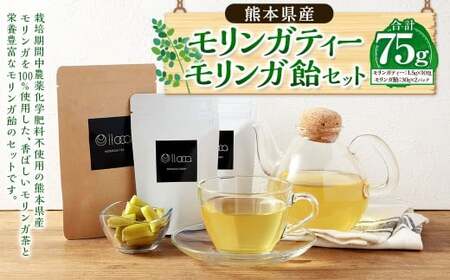 熊本県産 モリンガティー 10包 モリンガ飴 2パックセット / モリンガ茶 モリンガ ティー お茶 茶 健康茶 飴 あめ アメ キャンディー