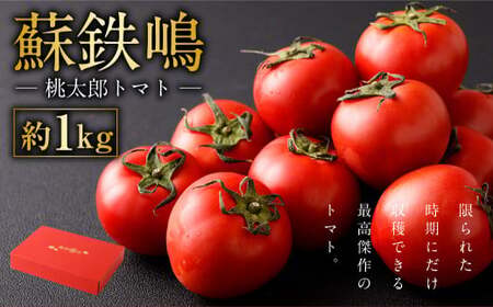 蘇鉄嶋 ( 桃太郎トマト ) 約1kg とまと トマト やさい 野菜 国産 [2026年5月上旬発送開始]