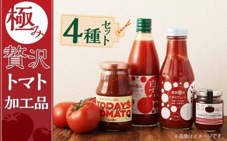 極み贅沢トマト加工品 4種 セット トマトジュース ケチャップ ピューレ コンフィチュール