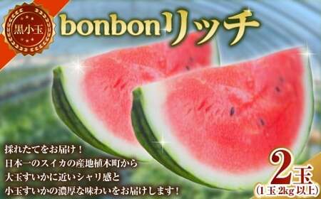  bonbonb` v2 e2kgȏ XCJ  Z ʃXCJ ʂ ʐZ  ʕ y2026N5{Jnz