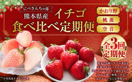 [3か月連続定期便]にべさんちの苺 熊本県産イチゴ食べ比べ定期便 (かおり野・桃薫・空音) [2026年1月下旬発送開始]