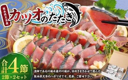 熊本県天草産 カツオのたたき (ハガツオ) 2節 (約2人分) × 2セット / 鰹 カツオ かつお たたき 魚 海鮮 魚介類 海産物 海の幸 九州 熊本県 冷凍