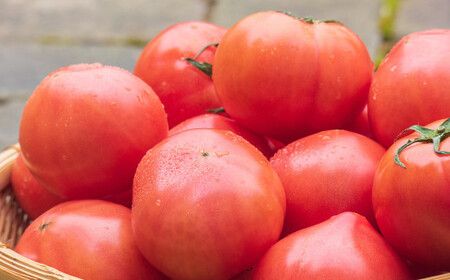 麗妃トマト(栽培自慢) 約2kg [2025年12月上旬発送開始] 野菜 やさい とまと トマト 熊本県産 国産