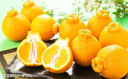 熊本県産 デコポン 5kg[2026年1月下旬〜5月上旬順次発送予定]果物 くだもの フルーツ 柑橘 蜜柑 みかん