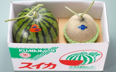 熊本県産 大玉スイカ1玉とマスクメロン1玉 合計2玉 [2026年5月上旬発送開始] 果物 フルーツ 大玉 スイカ 青肉 メロン