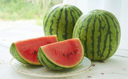 F{Y ʃXCJ 2 y2026N5{Jnz ʕ t[c XCJ  { {̃t[c