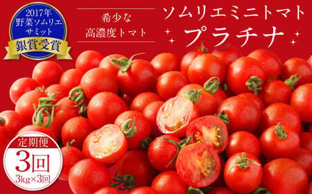 yN3ց^2026N1Jnz \G ~jg}g v`i 3kg×3 v9kg Ƃ܂ g}g  ₳ F{Y Y