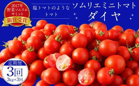 yN3ց^2026N1Jnz \G ~j g}g _C 3kg×3 v9kg Ƃ܂ g}g  ₳ F{Y Y