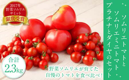 y Hה z\G g}g1.3kg  \G ~jg}g v`i500g ƃ_C 500g  Zbg v 2.3kg 3 Ƃ܂  ₳ F{Y Y  y2026N2{Jnz