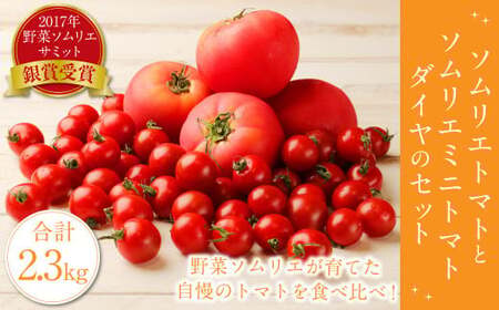 y Hה z\G g}g 1.3kg  \G ~jg}g _C 1kg  Zbg v2.3kg 2 Ƃ܂  ₳ F{Y Y y2026N2{Jnz