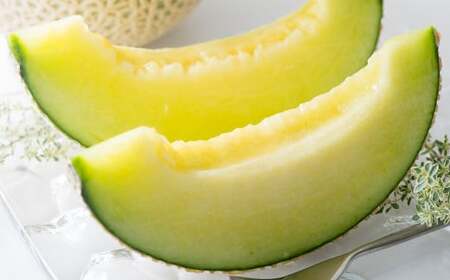 F{Y A[X 1 1.6kgȏ y2026N5{Jnz O[  t[c ʕ  Y