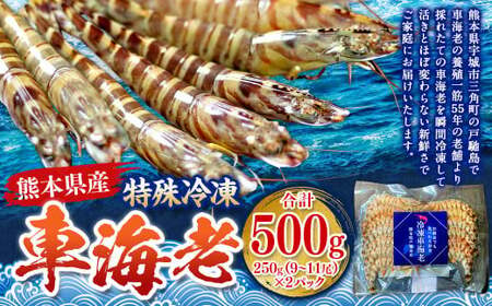 Ⓚ ԊCV 500gi18`22j2pbN Gr CV  N}Gr ԃGr {B uԗⓀ