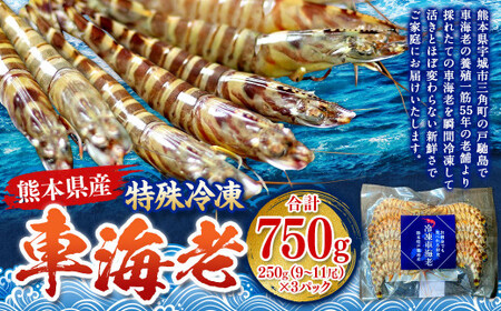 Ⓚ ԊCV 750gi27`33j 3pbN Gr CV  N}Gr ԃGr {B uԗⓀ