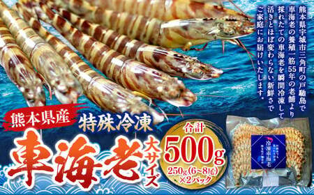 Ⓚ ԊCV iTCYj 500gi12`16j2pbN Gr CV  N}Gr ԃGr {B uԗⓀ