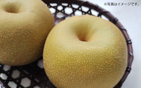g엜 K 5kg y2026N7{Jnz Ȃ iV  K ʕ  t[c F{Y