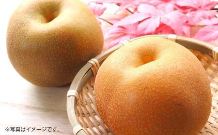 g엜 L 5kg y2026N8{Jnz Ȃ iV  L ʕ  t[c F{Y