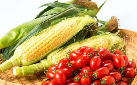 F{Y XC[gR[ 4`5{  t[cg}g 1kg y2026N5{Jnz  ₳ gERV Ƃ낱 R[ Ƃ܂ g}g Y