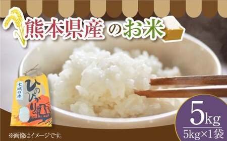 [令和7年度産] 熊本県産のお米5kg ひのひかり 精米 単一原料米 お米 米 [2025年11月上旬発送開始]
