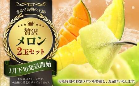 『まるで果物の王様!贅沢メロン』 2玉セット 1箱 熊本県産 [2026年1月下旬発送開始]フルーツ くだもの 果物 メロン 果実 果肉 おやつ 国産