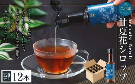草花蜜 甘夏花シロップ 120ml 12本 (合計:1440ml) / 甘夏 あまなつ 花 シロップ しろっぷ 炭酸割り 水割り お湯割り 紅茶 緑茶割り 焼酎 焼酎 炭酸水 炭酸 物 リラックス 熊本県産 国産 熊本県 常温