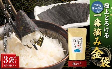 LC F{Y ɏƂ낯ԓE ~̂  1܁i40j×3 v120 C C ̂ m ̂ ~  E