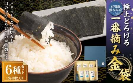 有明海 熊本産 極上とろける一番摘み 焼きのり 金袋シリーズ 6種セット 計240枚(40枚入×計6袋) 各1袋 焼きのり 味のり 塩のり 柚子胡椒のり 梅のり わさびのり