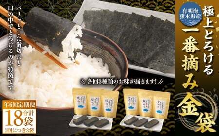 [年6回定期便] 有明海 熊本産 極上とろける一番摘み 焼きのり 金袋シリーズ 6種 焼きのり 味のり 塩のり 柚子胡椒のり 梅のり わさびのり 計18袋 (各回3袋×6回)