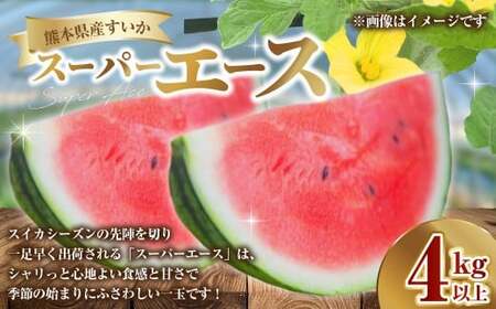 熊本県産 すいか スーパーエース 4kg以上 スイカ 西瓜 果物 くだもの フルーツ おすすめ ギフト 贈り物 [2026年3月上旬発送開始]