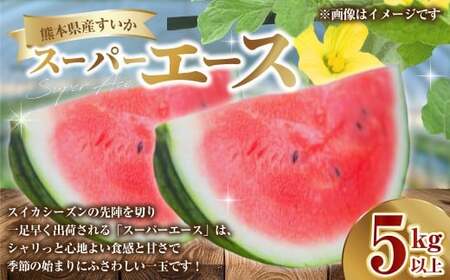 F{Y  X[p[G[X 5kgȏ XCJ Z ʕ  t[c  Mtg 蕨 y2026N3{Jnz