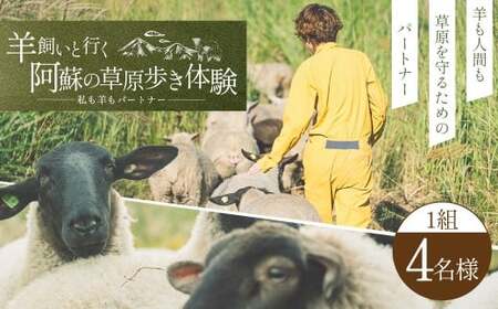 [ 体験期間 6月1日ー9月30日 ] 羊 飼いと行く 阿蘇 の草原歩き 体験 「私も 羊 も パートナー 」 4名様1組 体験 動物 羊 熊本県 自然 チケット 観光 レジャー