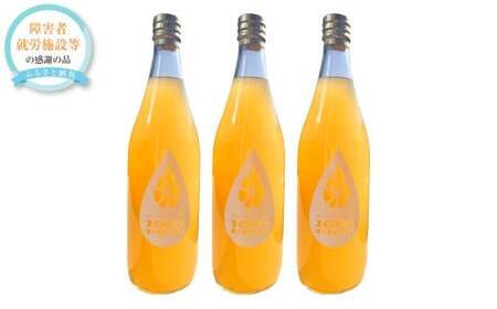 100O[vt[cW[X 3{Zbg i720ml×3{j O[vt[c W[X  hN ʏ` ʏ`100% Mtg v[g  Y 퉷