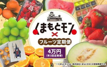 yN3ցz F{Yi ܂ƃ  it[cҁj 񕍊z 4~ R[X ^  i䂤ׂɁj 250g × 2pbN ivF500gj y1{`1{z ^  O[