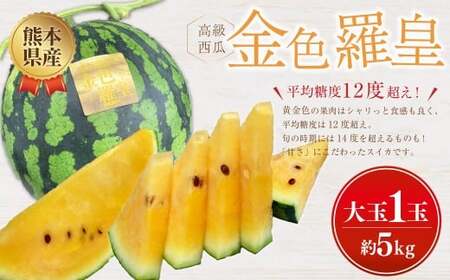 F{Y Fc (  Z ) 5kg 1 XCJ  t[c  ʕ F{ Y y2026N5{Jnz