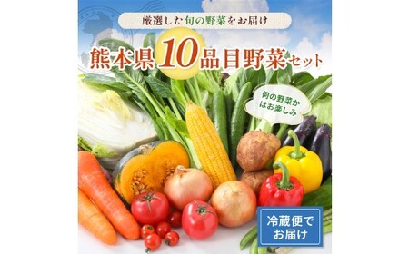 熊本県 10品目 野菜 セット フレッシュ 新鮮 野菜 青果 サラダ おまかせ お任せ 厳選 お楽しみ ランダム 冷蔵